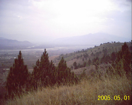akhtar01 (121)
