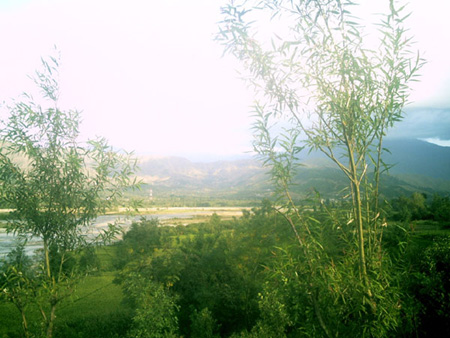 akhtar01 (15)