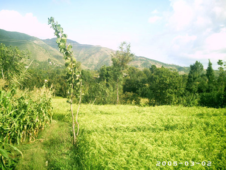 akhtar01 (150)