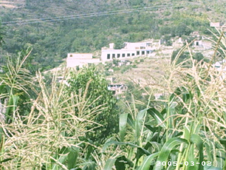 akhtar01 (152)