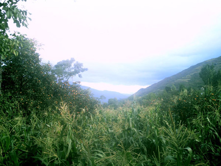 akhtar01 (2)