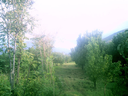 akhtar01 (3)