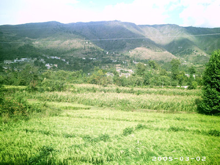 akhtar01 (49)