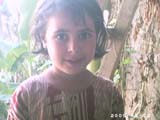 akhtar01 (135)