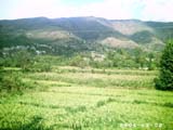 akhtar01 (49)